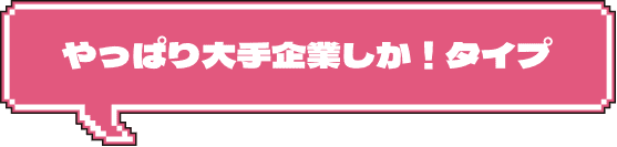 やっぱり大手企業しか！タイプ