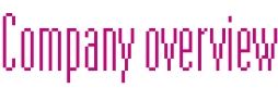 Company overview