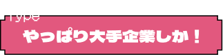 やっぱり大手企業しか！