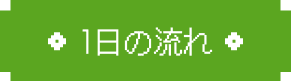 1日の流れ
