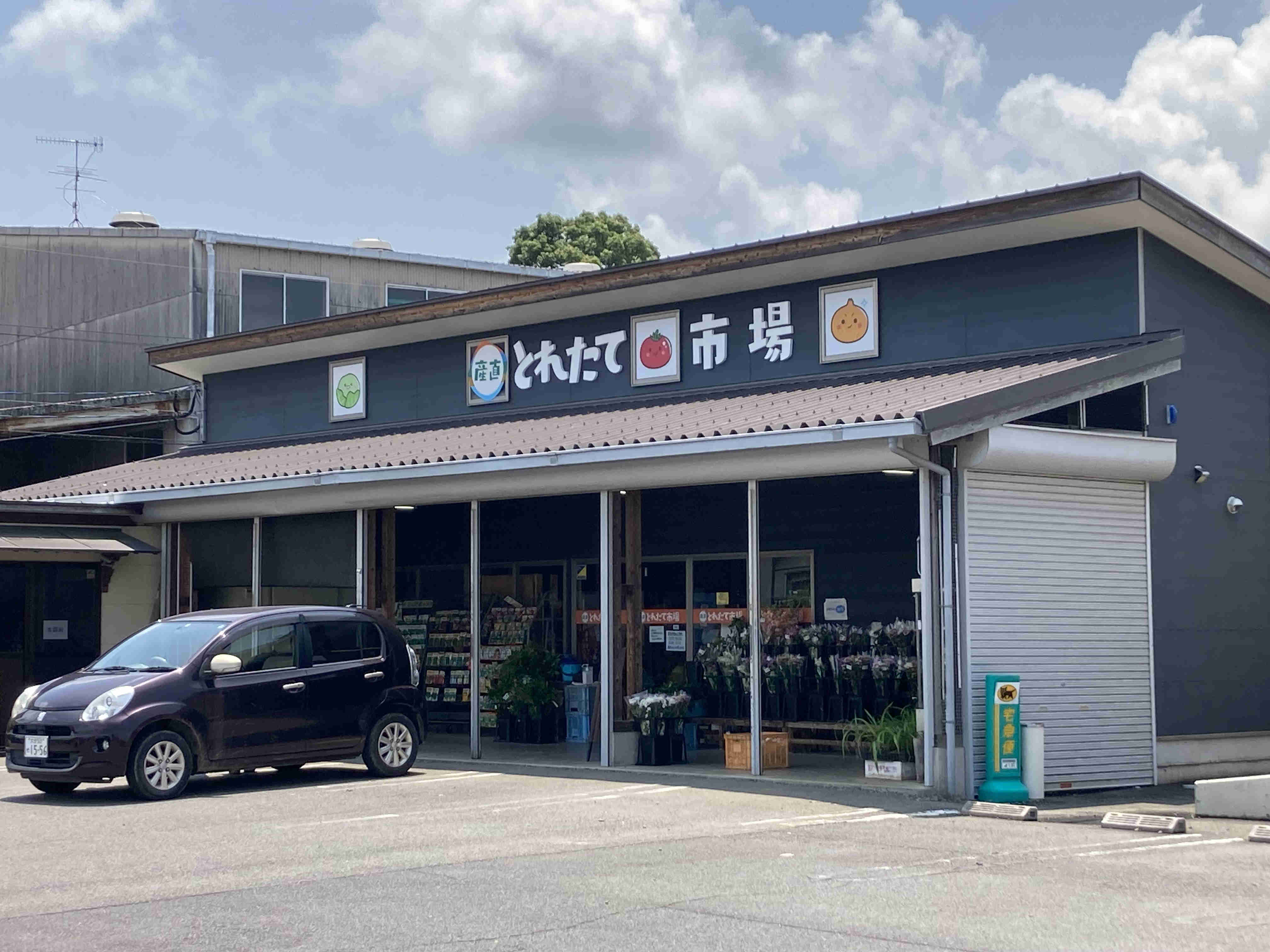 戸次店